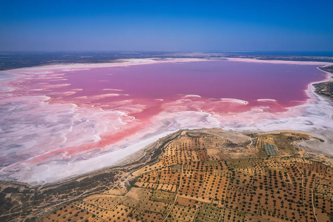 Vue aérienne de la sebkha de Moknine, eau rose et oliveraies en damier